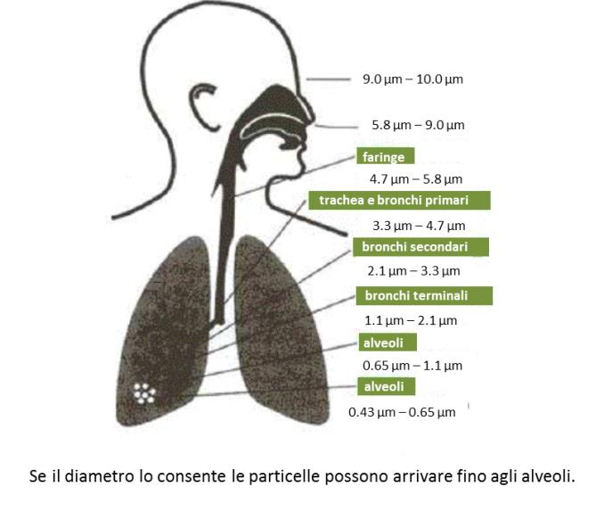 AriaAmbiente Foto4